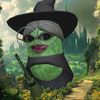 pirara_0
