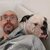tysonamericanbulldog