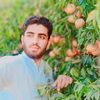 abdulrasheed.mlt.55