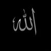 a.zh7o2