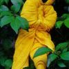 waspoonson2515
