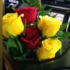 abeer111i
