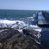 piva281165