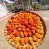 anhnong_dandalat