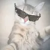 sebiceeeq