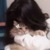 sunny__angle