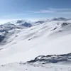 linusse11