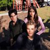 tvd.pll.legacies