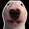 lexyezfn