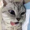 tiny.things__