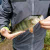 tsalaho29