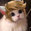 baron_k456