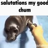 le_fishemydishe
