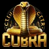 citycobra_