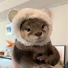 whospaig3