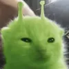 real_glorp