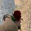 mariamwalid29.3