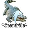 0_.erick