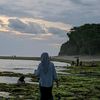 dadap_01
