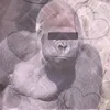 rrokm1