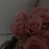 catarina._.melanie