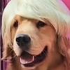 el_album_de_juan
