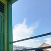 danzz_195