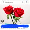 afifah06402