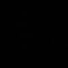 s.25t