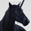 blackunicorn123455