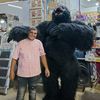 elmon36744668