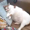 shrecz