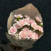 eccedentesiast_ast0114