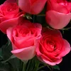 moganasunthary7