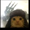 userplmoysj2z5