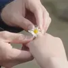 garancha4