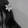 bia_chaudhary0