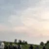 dvndnka2