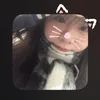 chip.ng29