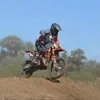 zappe