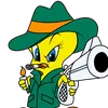 piolin2343