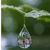 loutsflower59