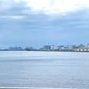 m._.0819