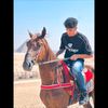 hondaaa_10