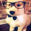 kevin_khonsue230411