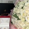 raneem14g
