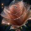 janne7823