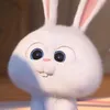 evopghk