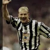 toonarmy43_