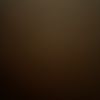 tara_park6283